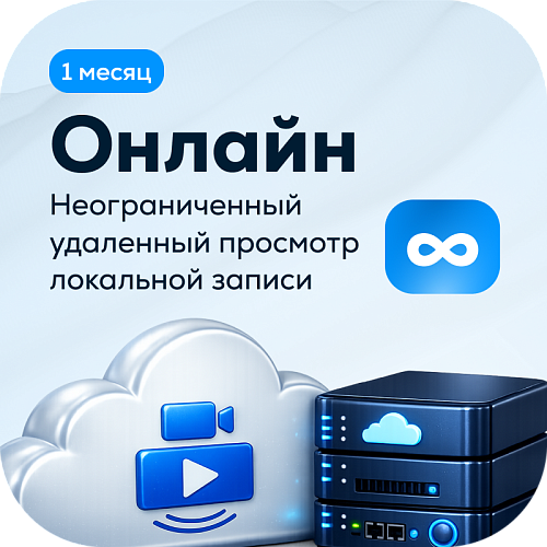 Тариф Online на 1 камеру (1 месяц)