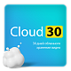 Тариф Cloud 30 на 1 камеру брендов Ivideon/Nobelic (3 мес)